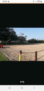 Weiland aangeboden voor paard/pony zelfzorg basis te Vaassen, Weidegang