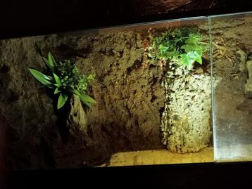 Terrarium RepHouSZ 100/40/50 zwart beschikbaar voor biedingen