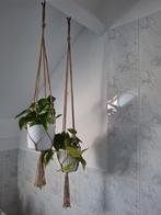 Macrame hangers met pot en hangplanten, Ophalen of Verzenden, Overige soorten, Minder dan 100 cm