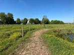 Paddock Paradise plek beschikbaar, Weidegang