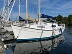 Seamaster 800, Watersport en Boten, Grootzeil, Gebruikt, Ophalen of Verzenden, 6 meter of meer