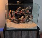 Rockzolid zeeaquarium steen te koop, Ophalen of Verzenden, Zo goed als nieuw, Grind, Zand of Voedingsbodem