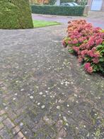 350m2 Gebruikte Klinkers - Ophalen, Gebruikt, Verzenden, Klinkers, 10 m² of meer