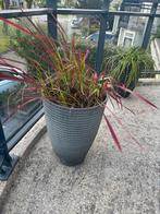 2 grote Plantenpotten - Kunststof - antraciet, Ophalen, Kunststof, Gebruikt, Minder dan 60 cm