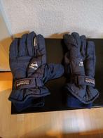 Ski handschoenen heren Thinsulate, Thinsulate, Maat 52/54 (L), Ophalen of Verzenden, Gedragen