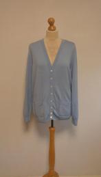 vest Peter Hahn, Kleding | Dames, Blauw, Maat 46/48 (XL) of groter, Ophalen of Verzenden, Zo goed als nieuw