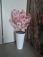 nieuwe bloesemboom aanbieding, Ophalen, Nieuw, Overige kleuren, Minder dan 50 cm