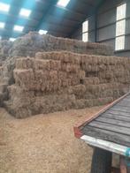 Kleine pakjes hooi en stro, Dieren en Toebehoren, Dierenvoeding, Ophalen