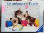 Puzzel 1000 stukjes: Kattenkwartet, Ophalen of Verzenden, 500 t/m 1500 stukjes, Gebruikt, Legpuzzel