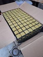 Steenwol Stekplug - 77 stuks per tray - 8 trays, Tuin en Terras, Ophalen of Verzenden, Nieuw