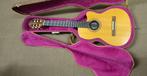 Gibson Chet Atkins Nylon String, Ophalen, Zo goed als nieuw, Overige typen, Met koffer