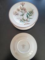 Villeroy & boch diepe borden., Ophalen of Verzenden, Gebruikt, Bord of Schaal
