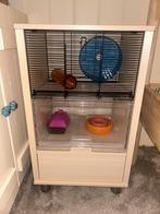 Kooi voor keline kanagdiertjes, muis/hamster enz.Gratis, Dieren en Toebehoren, Ophalen, Kooi, Gebruikt, 60 tot 90 cm