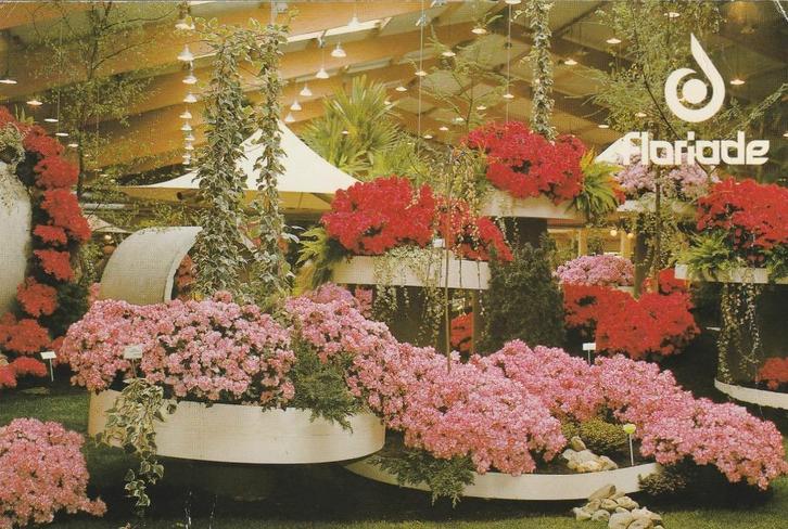 AMSTERDAM Floriade 1982, Verzamelen, Ansichtkaarten | Nederland, Gelopen, Noord-Holland, 1980 tot heden, Verzenden