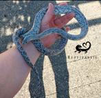 Bewezen kweek trio Shatters (rattenslang), Slang, Tam, 3 tot 6 jaar