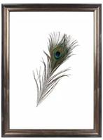 Fotolijst Brons Modern Dubbelglas 40x50cm, Unicorn Displays B.V., Nieuw, Ambachtsweg 6, Ophalen of Verzenden