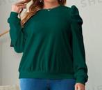Donker groene trui, maat 1xl, Ophalen of Verzenden, Zo goed als nieuw, Maat 46/48 (XL) of groter, Groen