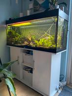 Juwel Rio 240 liter aquarium + kast + externe pomp, Dieren en Toebehoren, Vissen | Aquaria en Toebehoren, Ophalen, Gebruikt, Leeg aquarium