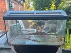 Prachtig aquarium 60cm voor Agaatslakken of overige dieren., Ophalen, Zo goed als nieuw, Terrarium of Paludarium
