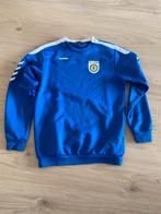 FC Lisse trui maat 164, Kinderen en Baby's, Kinderkleding | Maat 164, Ophalen of Verzenden, Gebruikt, Hummel, Trui of Vest