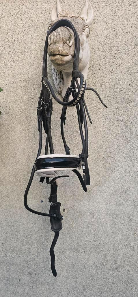 LJ stang en trens hoofdstel, Dieren en Toebehoren, Paarden en Pony's | Hoofdstellen en Tuigage, Gebruikt, Dressuur, Ophalen of Verzenden