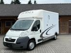 Peugeot Boxer Sonic Paardenwagen Paardenvrachtwagen B Rijbe, Gebruikt, Overige typen