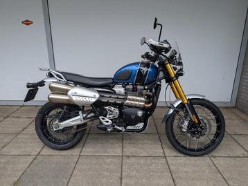 Triumph SCRAMBLER 1200 XE (bj 2019) beschikbaar voor biedingen