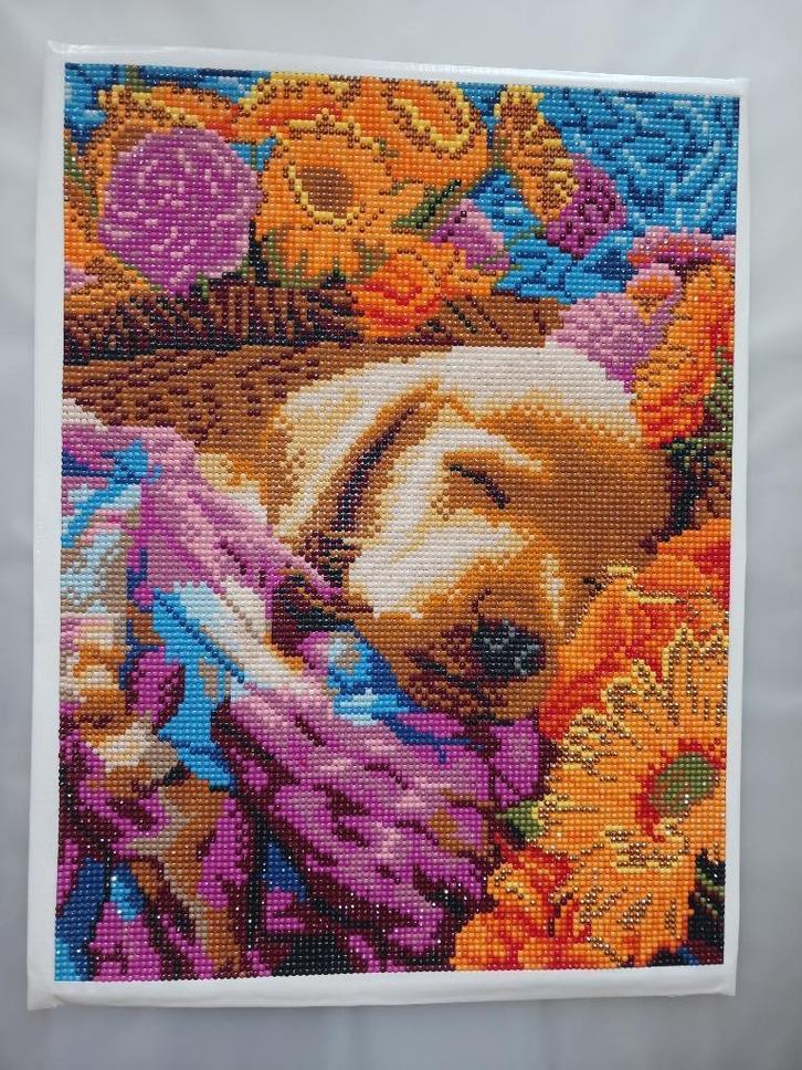 Afgewerkte diamond painting "Slapende pup" (geen kader), Hobby en Vrije tijd, Knutselen, Zo goed als nieuw, Knutselwerk, Ophalen of Verzenden