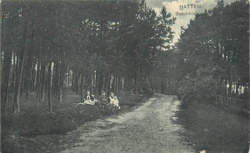 (388-567-029) Hattem Boschkiekje, Verzamelen, Ansichtkaarten | Nederland, Gelderland, Verzenden