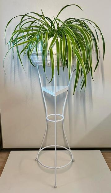 Plantenstandaard met pot en plant beschikbaar voor biedingen