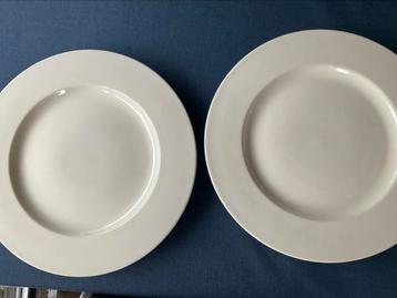 2 dinerborden 27.6 /room/ CLARITY PLAIN beschikbaar voor biedingen