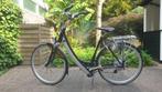 Batavus Padova Easy Royal Defecte accu, Fietsen en Brommers, Elektrische fietsen, 51 tot 55 cm, Ophalen, Gebruikt, Batavus