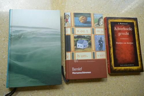 2x J. Bernlef Hersenschimmen 2 edities + Achterhoedegevecht, Boeken, Literatuur, Gelezen, Nederland, Ophalen of Verzenden