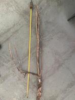 talawa hout €69,95, Ophalen of Verzenden, Nieuw, Plant(en), Steen of Hout