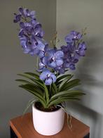 Vanda plant zijde Purple, Ophalen of Verzenden, Nieuw