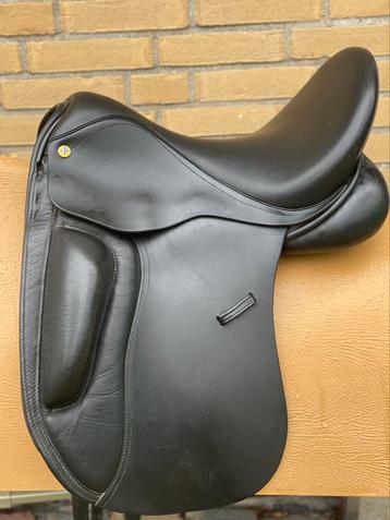 Nette Anatomica Cygnus g3 met lak (passervice op maat)  beschikbaar voor biedingen