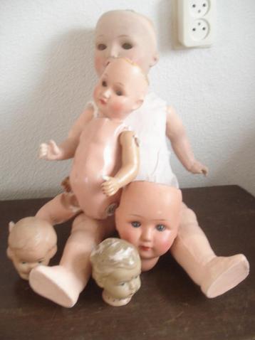 Pop en meer... beschikbaar voor biedingen