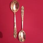 2 zilveren  lepels, Ophalen of Verzenden, Zilver