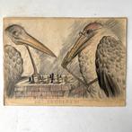 Originele Art Deco tekening van schakende pelikanen, Ophalen of Verzenden