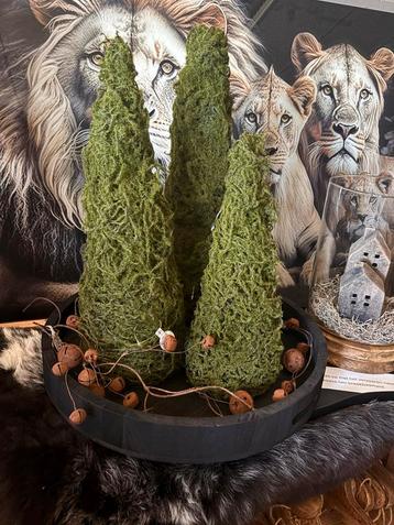 Mosboompjes ( kunst) beschikbaar voor biedingen