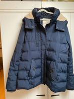 Esprit Winterjas Blauw Maat M, Ophalen of Verzenden, Zo goed als nieuw, Maat 38/40 (M), Blauw