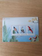 Postzegelvel Vogels Bonaire, Ophalen of Verzenden, Dier of Natuur