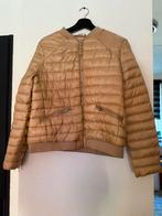 Amisu jas, Overige kleuren, Maat 42/44 (L), Ophalen of Verzenden, Zo goed als nieuw