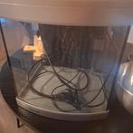 Aquarium 40 liter, Ophalen, Leeg aquarium