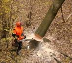 Bomen kappen en vellen, Diensten en Vakmensen, Tuinmannen en Stratenmakers