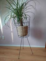 Leuke plantenstandaart, excl. plant!, Tuin en Terras, Bloembakken en Plantenbakken, Ophalen, Zo goed als nieuw, Rond, Minder dan 30 cm