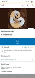 KOOP DIT DIER NIET !!!!, Dieren en Toebehoren, Reptielen en Amfibieën, Slang, Tam, 3 tot 6 jaar