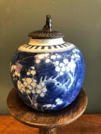 Klassieke Kangxi Revival Gemberpot., Ophalen of Verzenden
