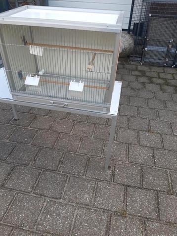 Diverse broedkooien zie foto.s  beschikbaar voor biedingen
