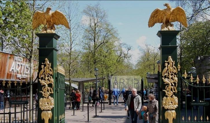 Tickets Dierentuin Artis Amsterdam geldig tm 28-02-2026, Tickets en Kaartjes, Recreatie | Pretparken en Attractieparken, Drie personen of meer